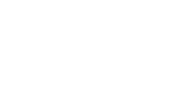 Sarajevo Winter Festival 2018, Official Selection