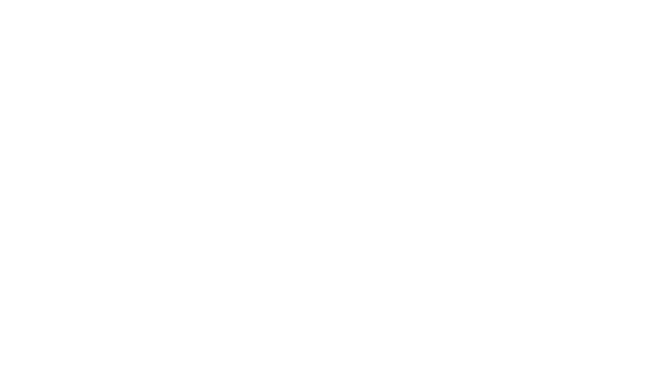 Sedicicorto International Film Festival 2018, Official Selection